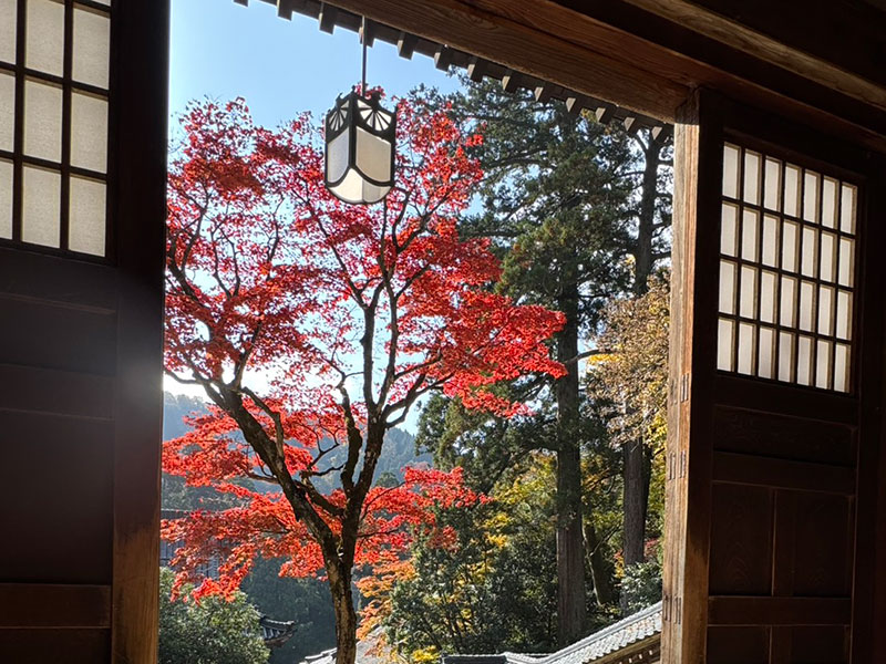 視察研修会の様子