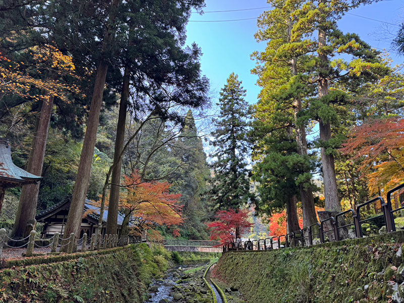 視察研修会の様子